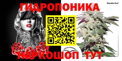 кокс Беслан