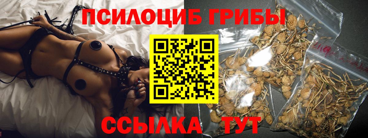 Галлюциногенные грибы Psilocybe  Галлюциногенные грибы Magic Shrooms  Вольск 